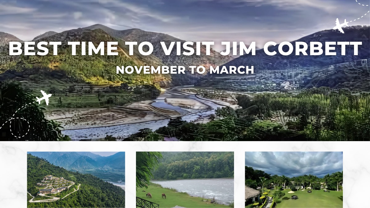 Best Time to Visit Jim Corbett.jpeg