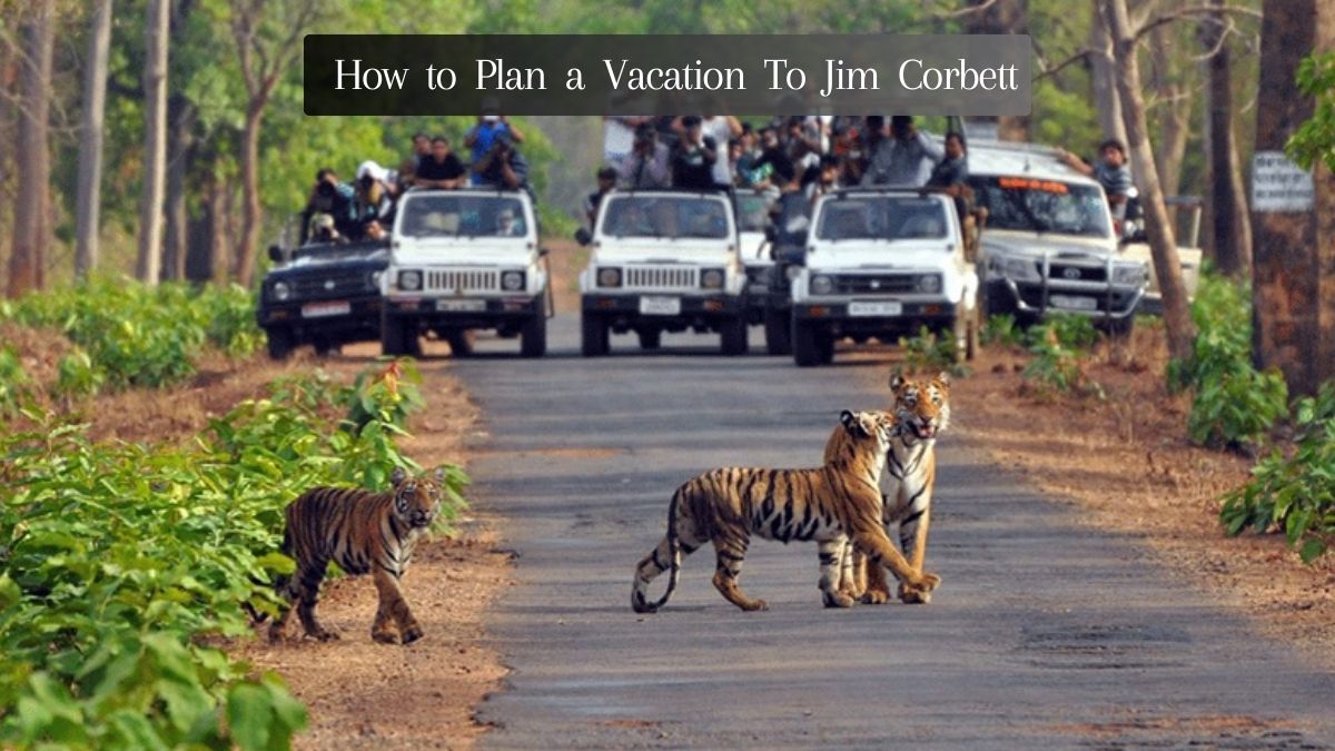 _Jim Corbett national park.jpg