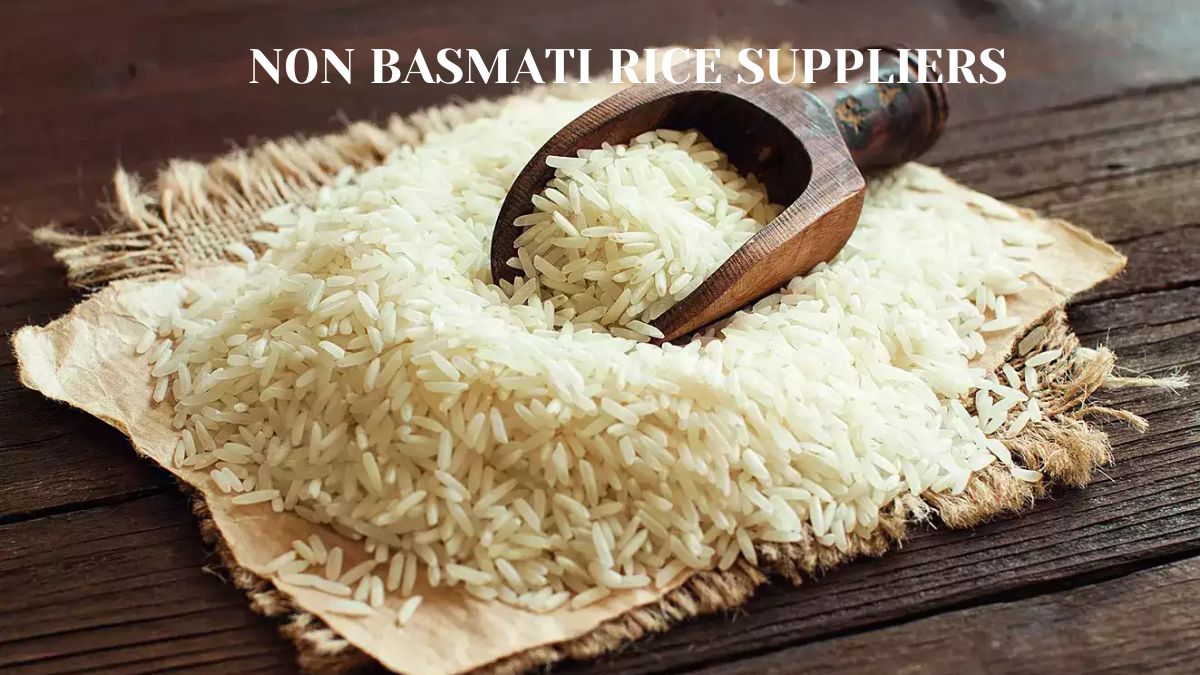 NON Basmati Rice Suppliers.jpg